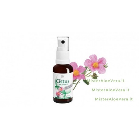 Cistus Incanus spray