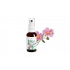 Cistus Incanus spray