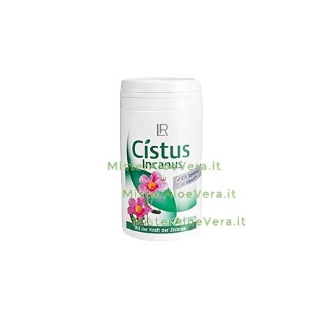 Cistus incanus capsule
