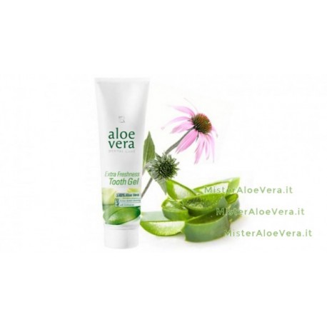Aloe Vera dentifricio - LR - 100 ml